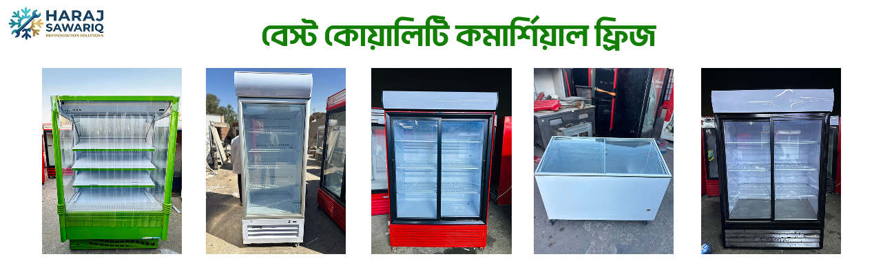 Double Door Commercial Fridge